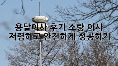 용달이사 후기: 소량 이사 저렴하고 안전하게 성공하기